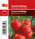 Tomate Fandango (tray 12 pot)